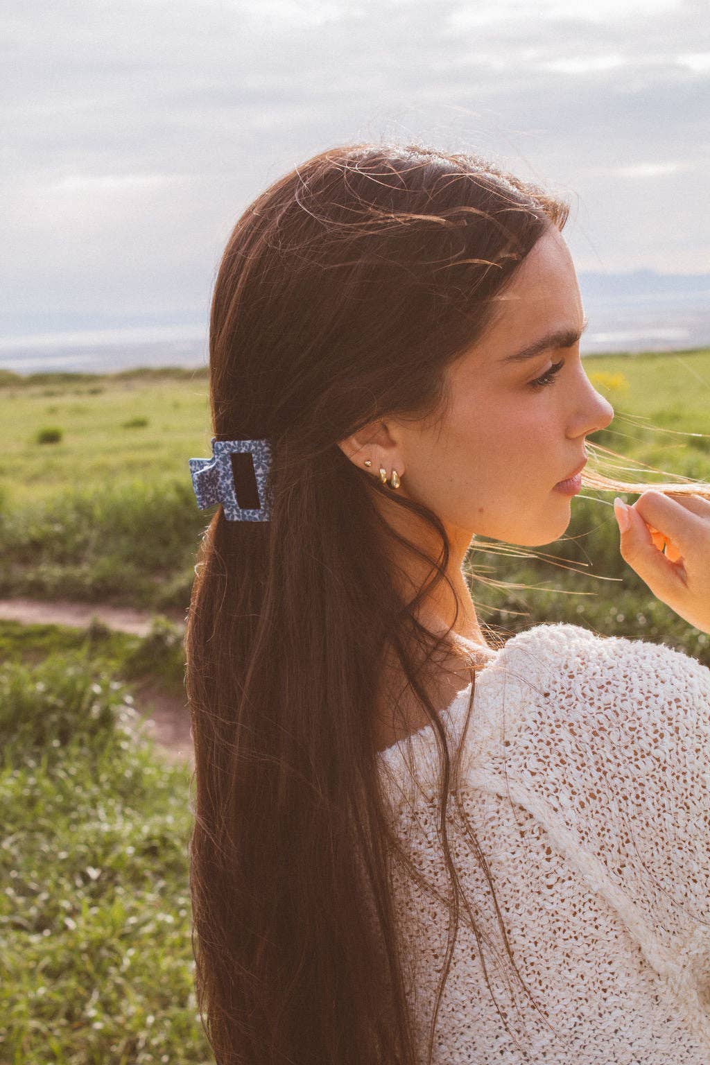 Small Rectangle Claw Clip
